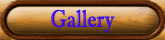 Gallery Button